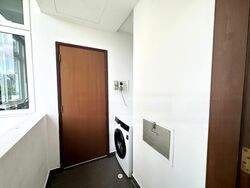 The Balmoral Spring (D10), Apartment #480364031